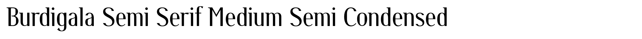 Burdigala Semi Serif Medium Semi Condensed image